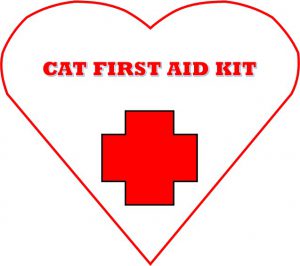 Cat First Aid Kit by healthycatdetective.com