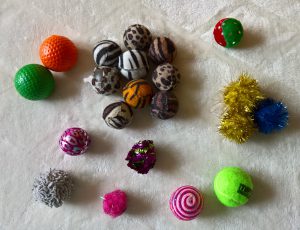 Different balls for your cat by healthycatdetective com