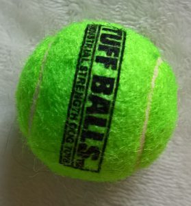 Small tennis ball suitable for cats by healthycatdetective.com