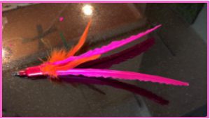 pink stiff feather for flies likea bird by healthycatdetective.com