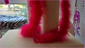 red feather boa for cat by healthycatdetective.com