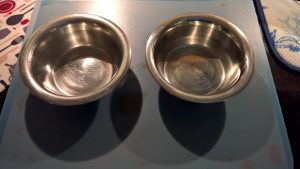 food dishes on water filled tray to repell ants from healthycatdetective.com